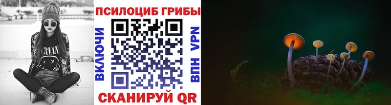Галлюциногенные грибы GOLDEN TEACHER  Енисейск 
